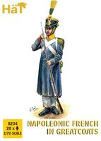 Napoleonic French in Greatcoats - Image 1