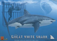 Great White Shark with diver and cage kit