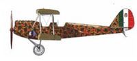 Caproni Ca.100