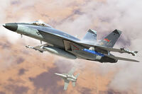 Boeing F/A-18 E Super Hornet (VFC-12)
